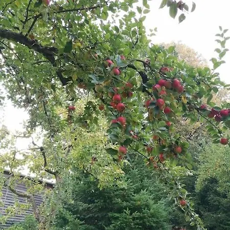 In Naehe Zum Sachsenring Am Fusse Zum Erzgebirge * Gersdorf (Zwickau)